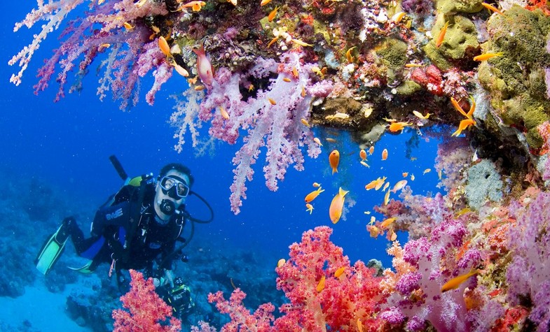 Thailand, Diving in Chumphone Pinnacle