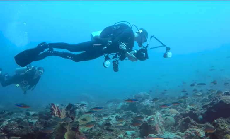 What you should know before go diving in Myanmar