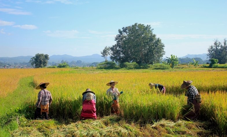 Hsipaw Town Shan State Myanmar Destination Info | Travel Authentic Asia