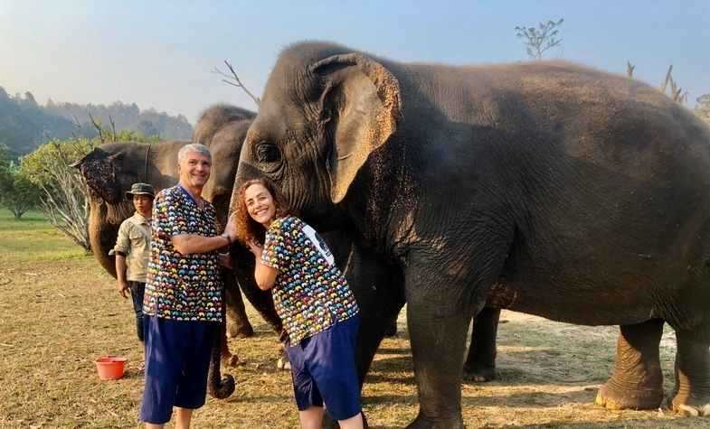 The Best Elephant Sanctuaries In Chiang Mai