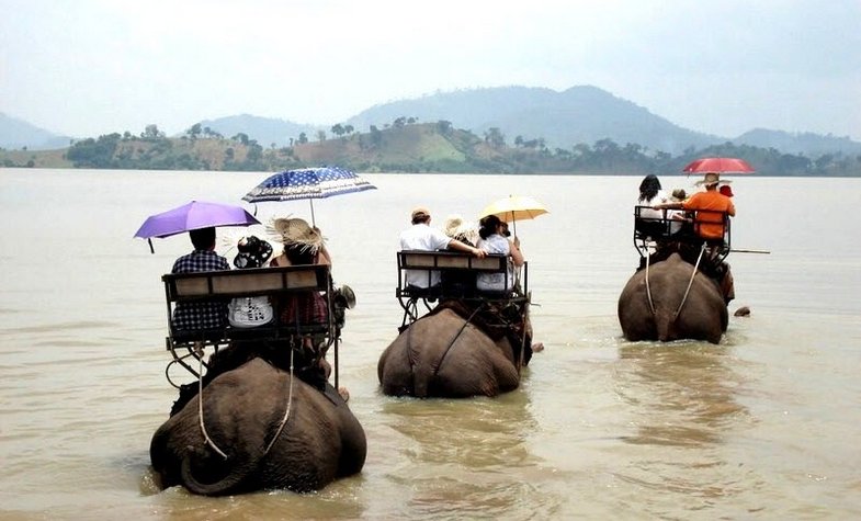 end elephant riding tours