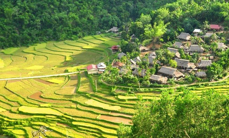 Pu Luong rice fields