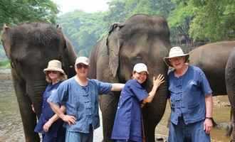 Elephant camp, Chiang mai, Thailand