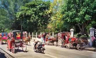 Horse down carriage, Lampang, Thailand