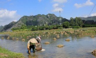 Rural landscapes, Vietnam