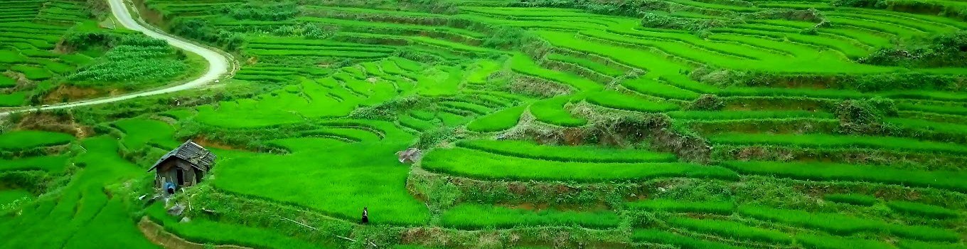 Vietnam mountain landscape