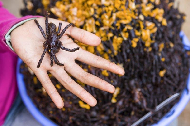 cooked spiders are selling as food