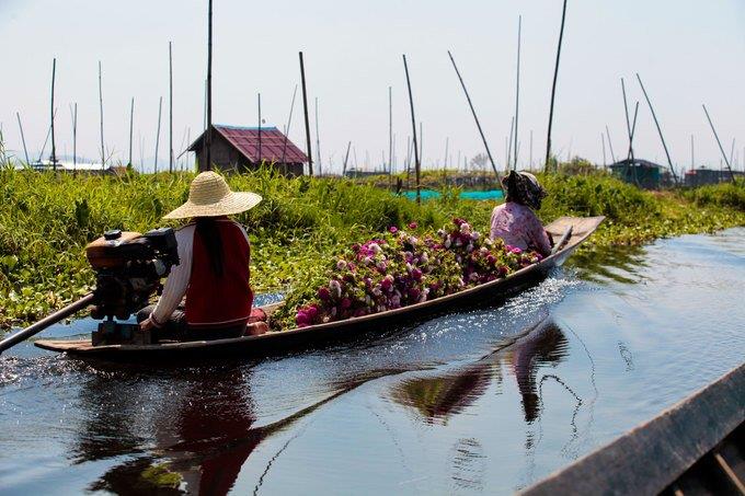 a boat with two women selling dragon fruits