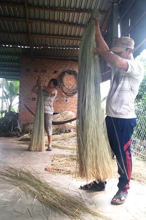 two men is straightening straws to make sedge mats