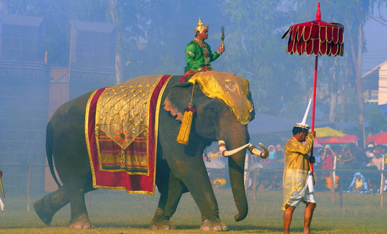The annual festival to honor  elephants in Thailand