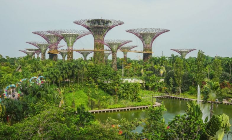 Singapore's weather patterns in June