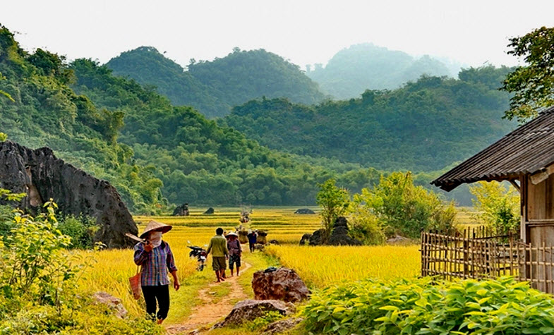Trekking Mai Chau's villages in Hoa Binh, Vietnam