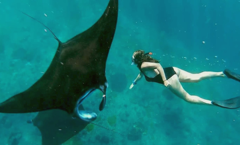 Manta Rays Nusa Penida