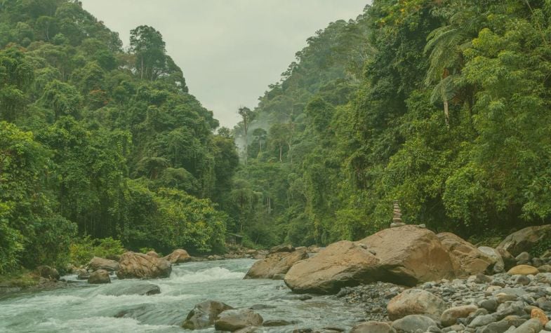 Getting to Bukit Lawang