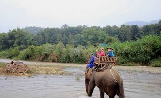 Why Luang Prabang can give you the best  travel experience?