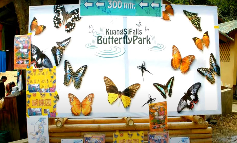 Site of the Kuang Si Butterfly Park