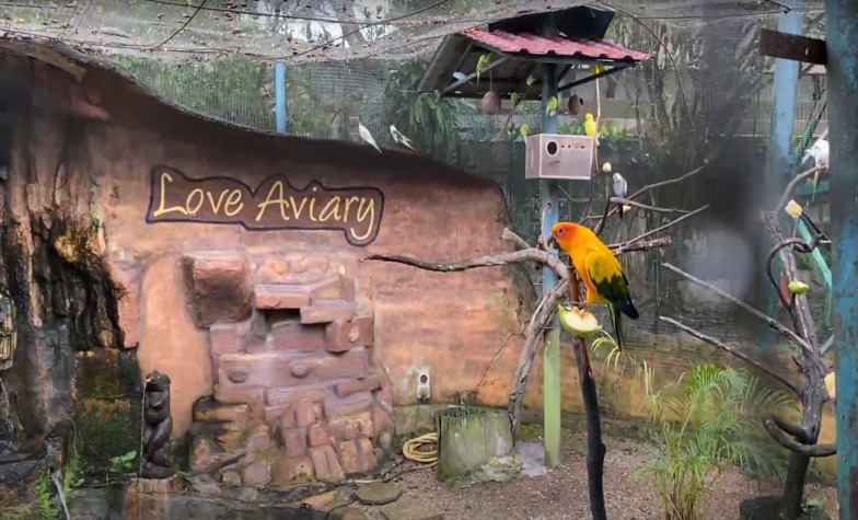 The unique feature of the Kuala Lumpur Bird Park