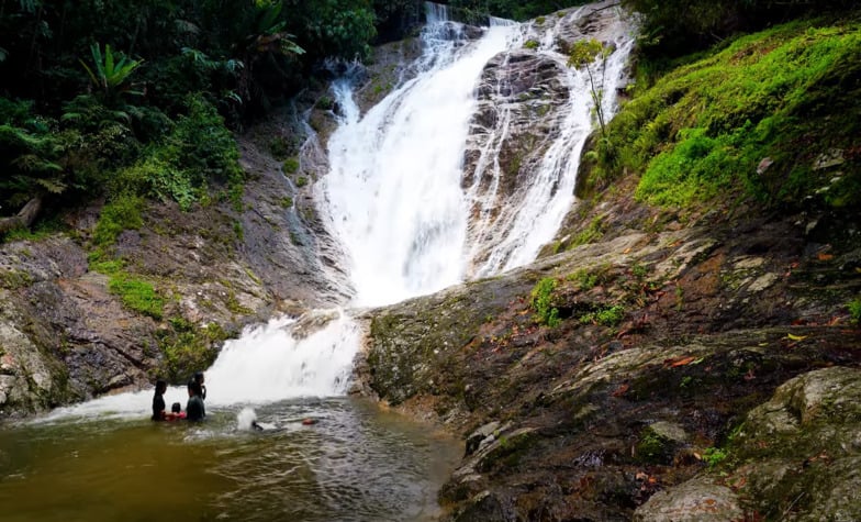 Thrilling Tourist Activities in Cameron Highlands