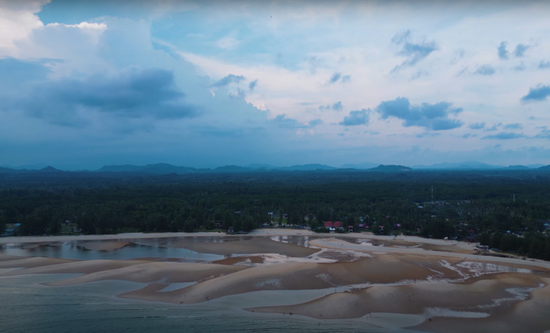 The untamed beauty of Cherating's mangrove forests and natural ecosystems