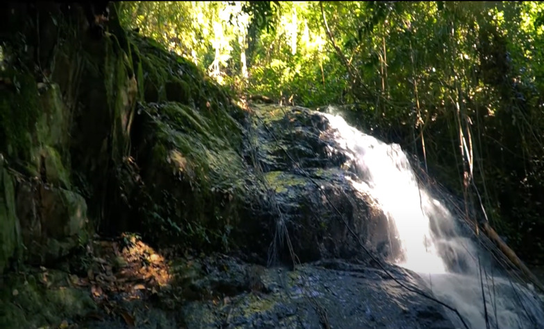 Discover breathtaking natural wonders at Endau-Rompin National Park