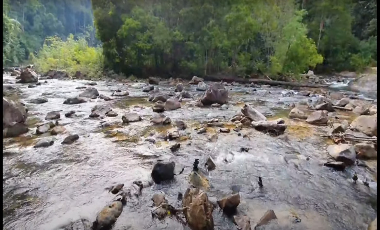 Thrilling escapades await at Endau-Rompin National Park