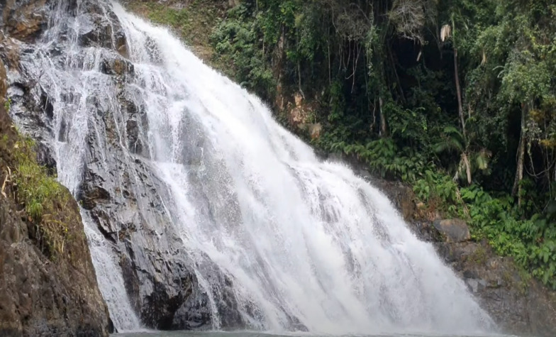 Tranquil activities and rejuvenating experiences at Endau-Rompin National Park