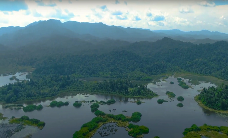 A glimpse into the rich ecological diversity of Lake Chini