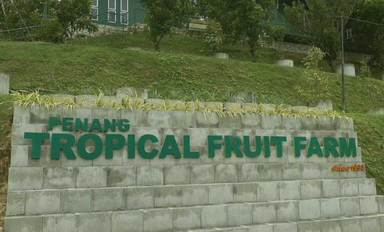 things to do in Malaysia, explore Penang tropical fruit farm