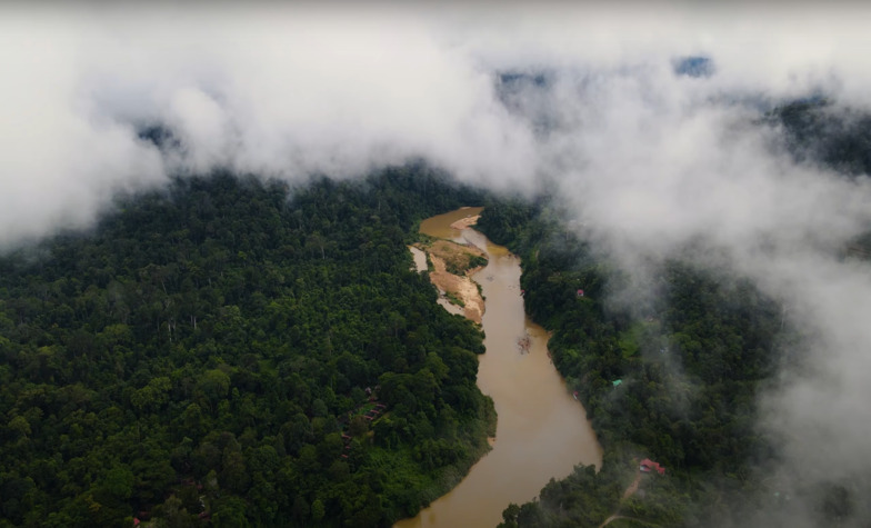 Unforgettable Experiences to Have at Taman Negara National Park