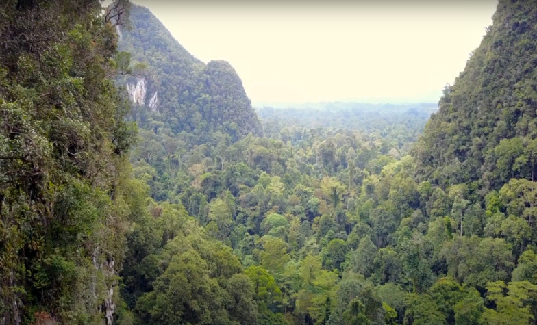 An Overview of Gunung Mulu National Park