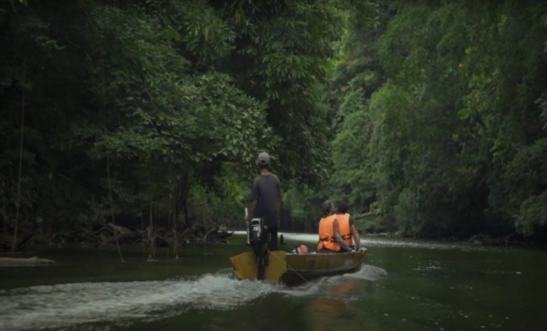 Remarkable natural wonders of Gunung Mulu National Park