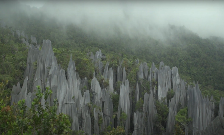 Distinctive indigenous culture of Gunung Mulu National Park