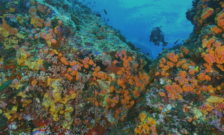 Sustainable tourism Initiatives at Tubbataha Reefs Natural Park