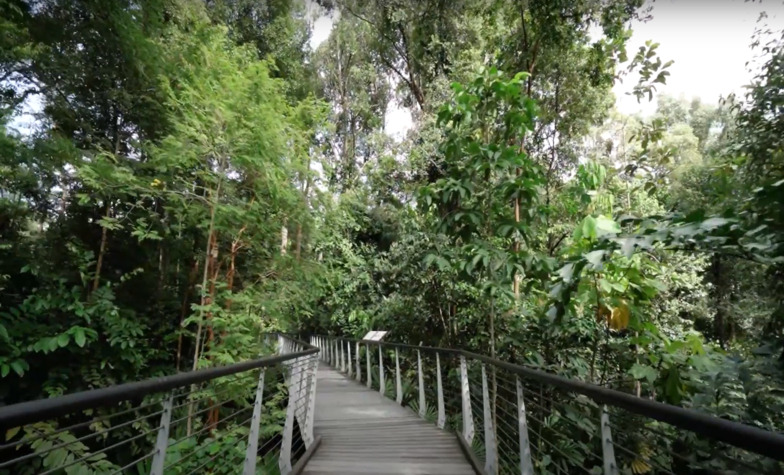 Breathtaking landscape of the Botanic Gardens