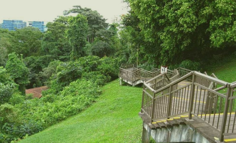 Walking trails and outdoor activities in Mount Faber Park