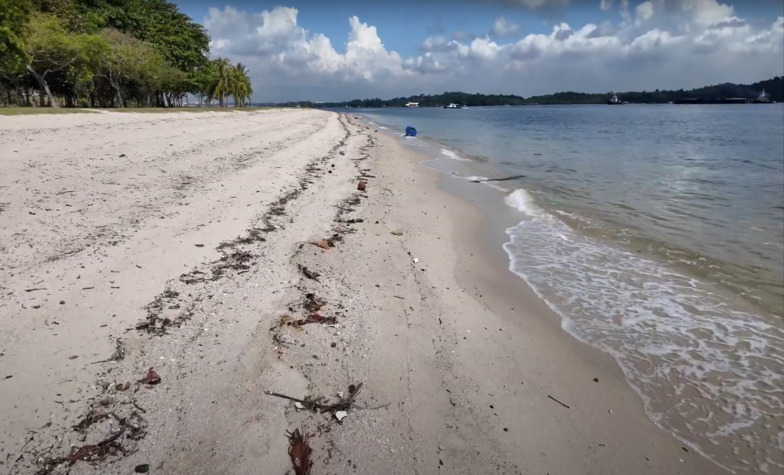 Coastal tastes at Changi Beach