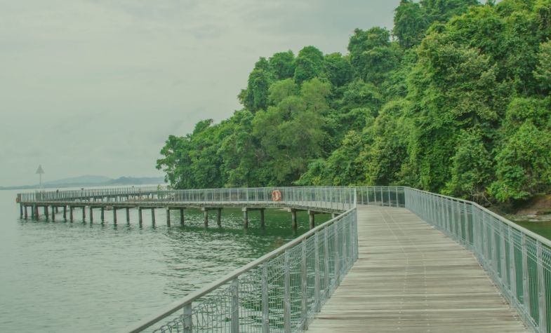 the natural beauty of Pulau Ubin