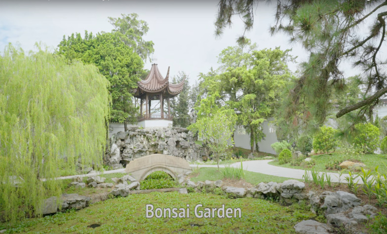 Experience Serenity and Grace at the Japanese Garden