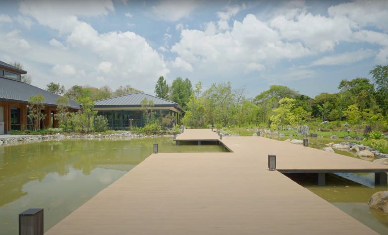 Enjoy Distinctive Activities at the Chinese and Japanese Gardens