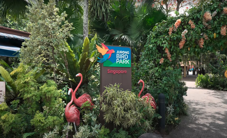 An Overview of Jurong Bird Park