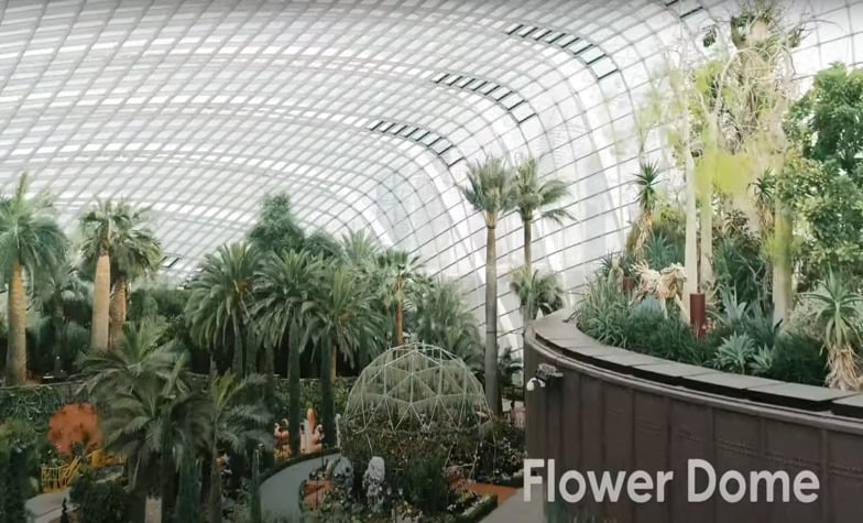 The unique architecture of Gardens by the Bay