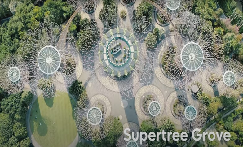 Unmissable experiences at Gardens by the Bay