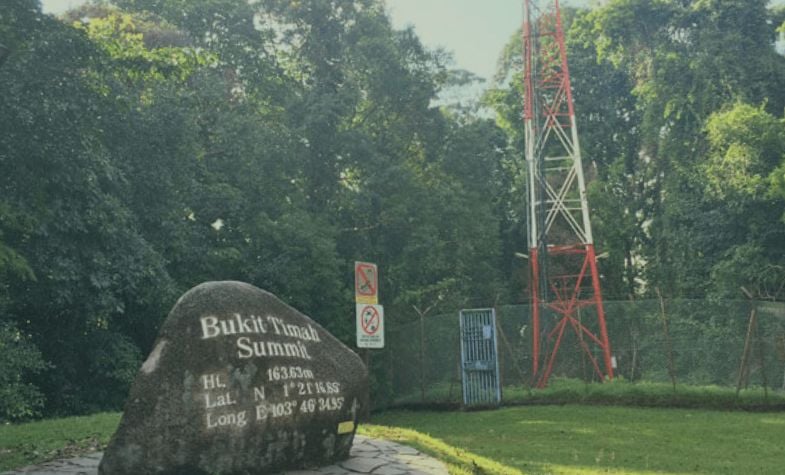 Bukit Timah Nature Reserve Overview