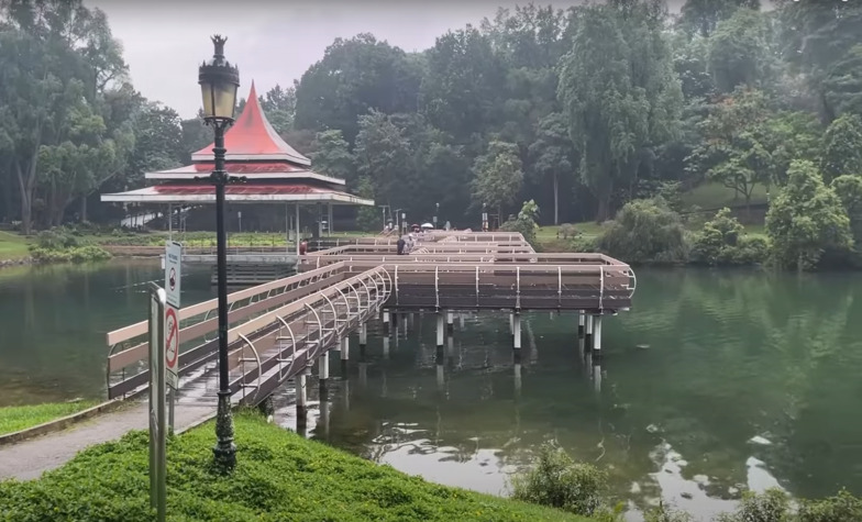 Captivating natural scenery at MacRitchie Reservoir