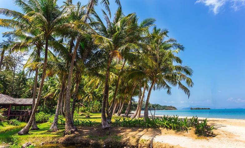 Explore tropical paradise by visiting Mu Koh Chang National Park