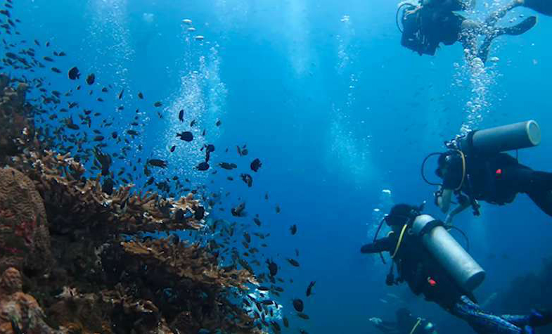 Couple diving in Koh Samui