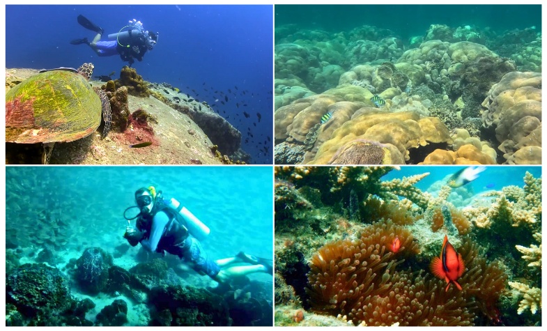 Top diving spots in Thailand: Koh Tao, Phi Phi, Similan, Lanta, Krabi