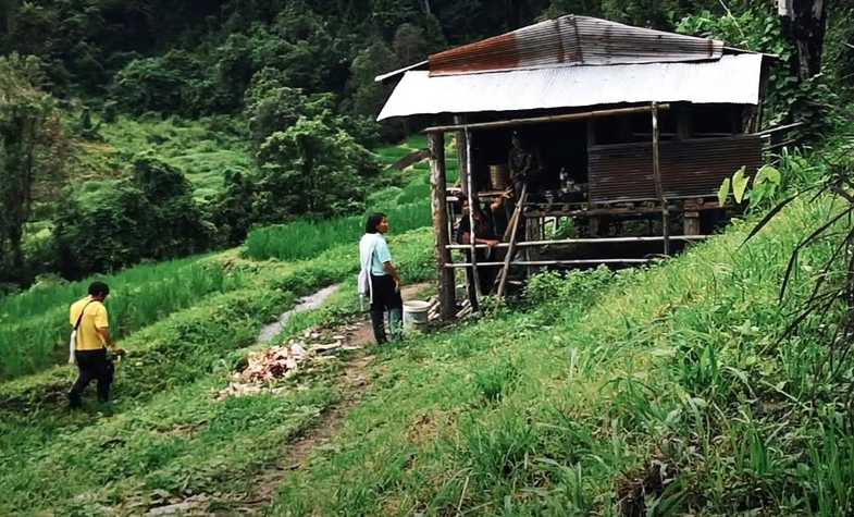 Trekking experience in Thailand