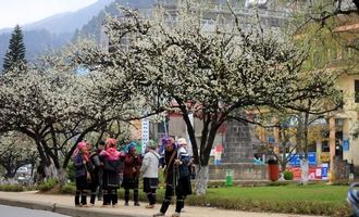 Sapa, Vietnam