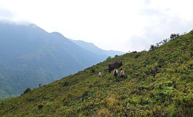 Explore Ham Rong Mountain